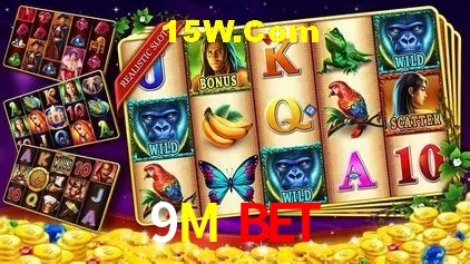 Segurança e performance na plataforma 9M Bet